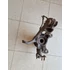 Kép 2/2 - AUDI A3 (8V) 2.0 CRTDI Bal első csonkállvány