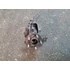 Kép 1/3 - FORD C-MAX II 1.6 TDCI bal első csonkállvány