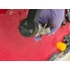 Kép 4/4 - VOLKSWAGEN GOLF VII (5G) 1.6 CRTDI CLH Rail cső 04L089B 057130764AB