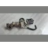 Kép 4/4 - MAZDA 3 (BM) 2.2 SKYACTIV SH EGR szelep K5T70874