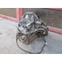 Kép 7/9 - NISSAN JUKE (F15) 1.5 DCI Váltó TL4A119 