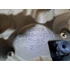 Kép 3/3 - HYUNDAI I30 (PD) 1.0 T-GDI Felső motorburkolat 29242-04500